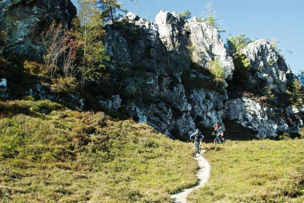 Drei MTB-Runden durch die Fels- und Urwald-Kulisse von Viechtach