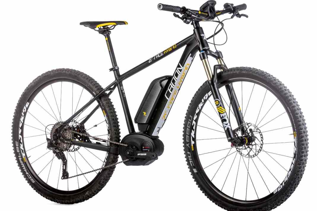 Radon ZR Race Hybrid 29" im Test