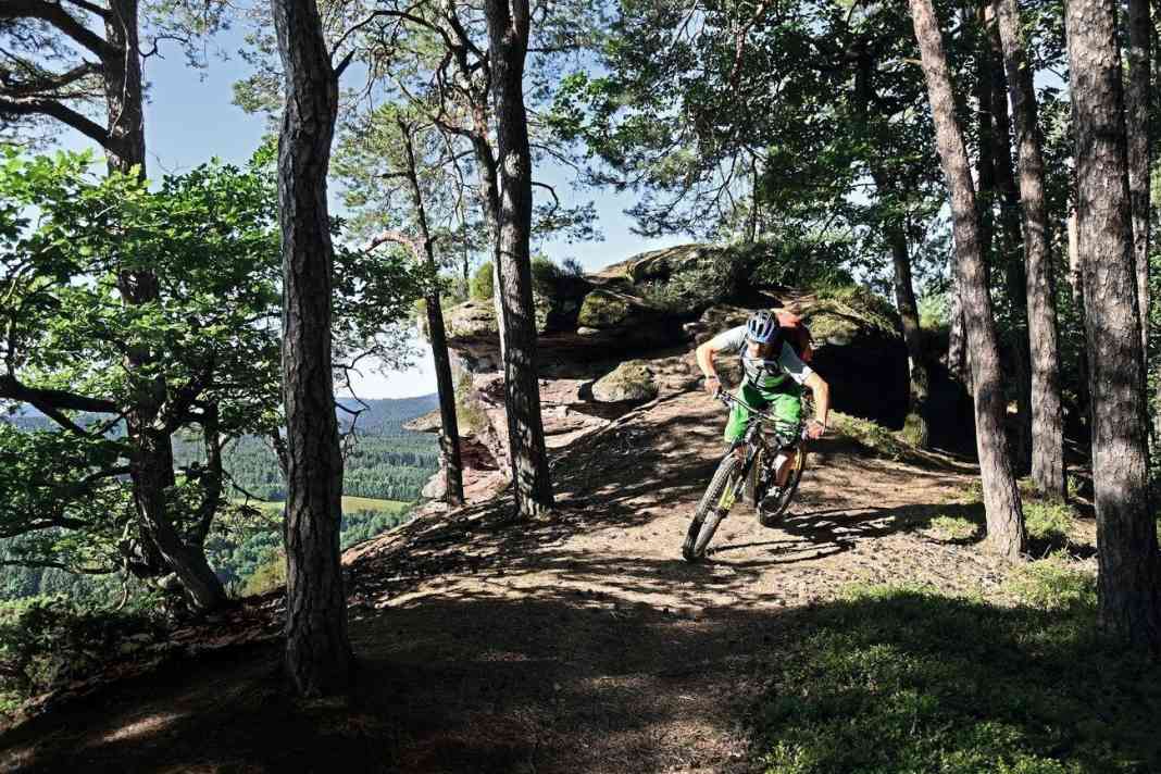 2 Singletrails für E-MTB Touren im Pfälzerwald