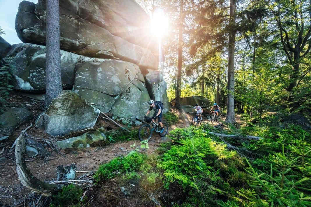 Die 14 besten Mountainbike-Trails in Deutschland