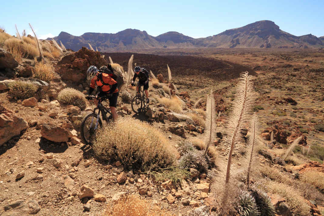 MTB-Touren auf Teneriffa