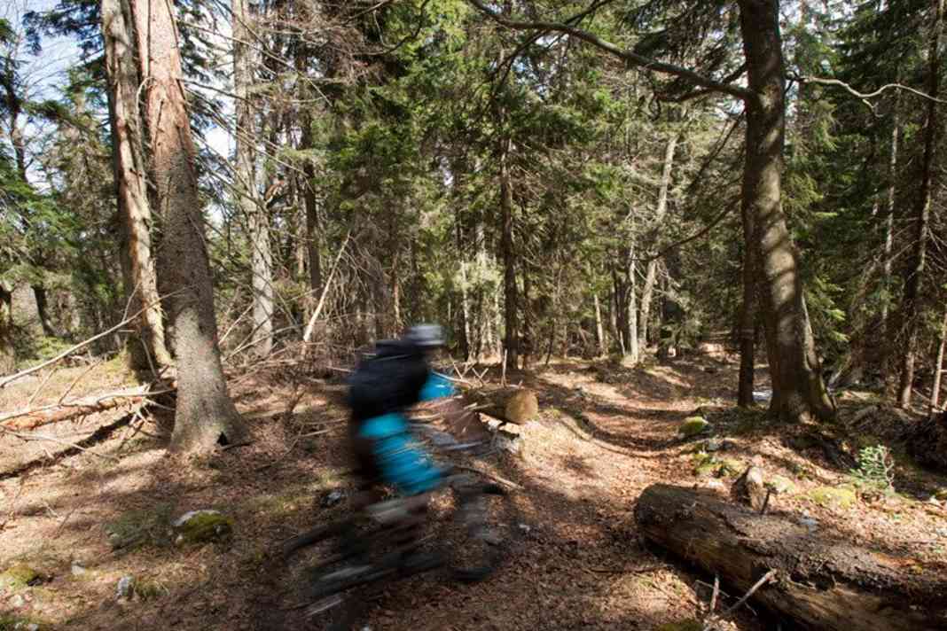 Hirschberg Supertrail