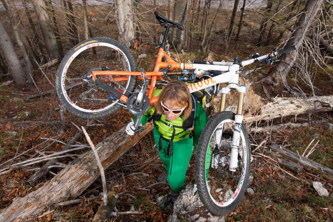 Rose Beef Cake FR SL 8