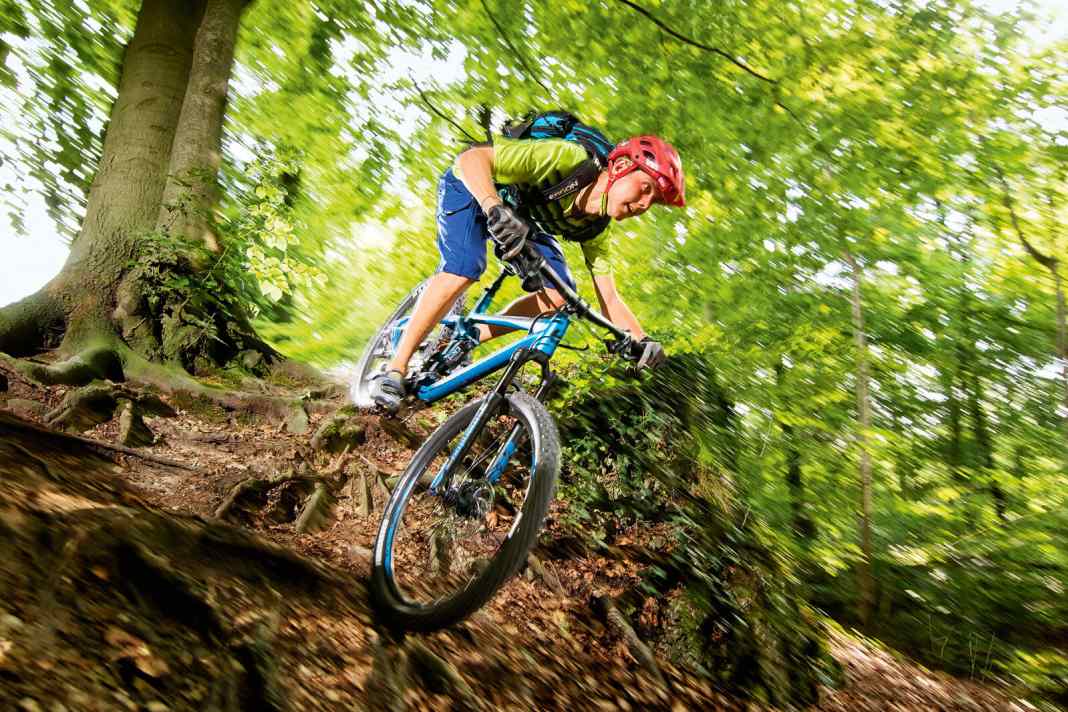 Bergamont Trailster 6.0 im Test