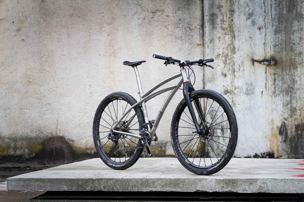 Rabbit Cycles MTB 29er Cruiser