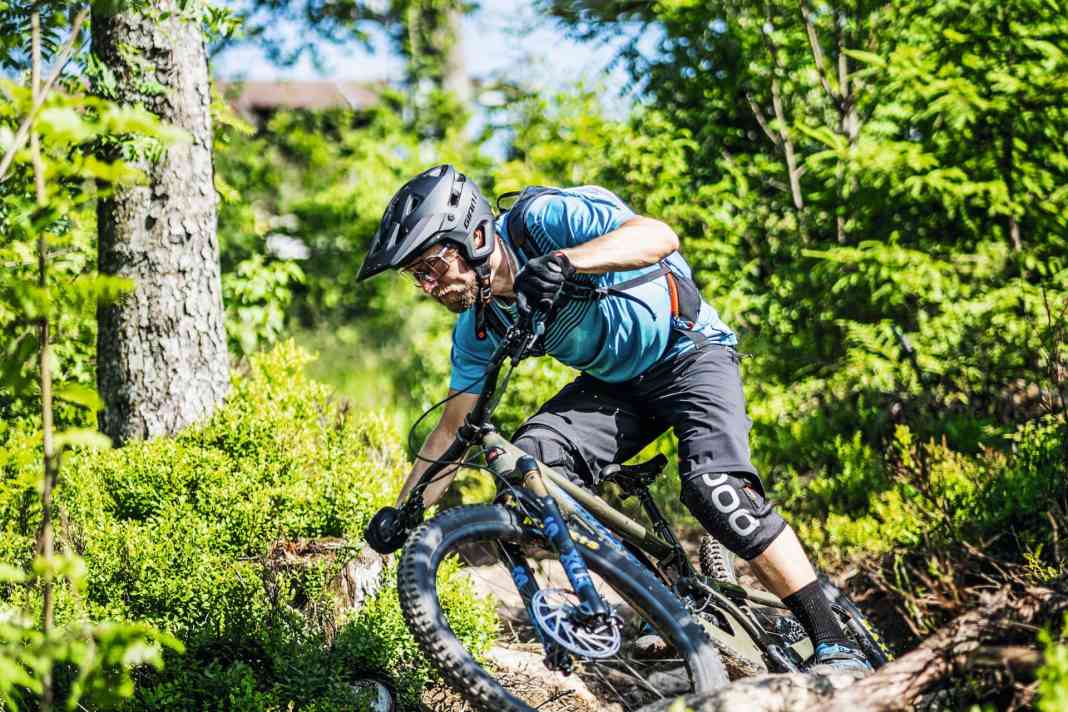 Santa Cruz Bronson