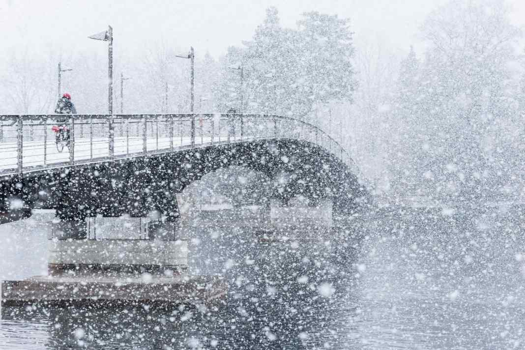 Winterfest