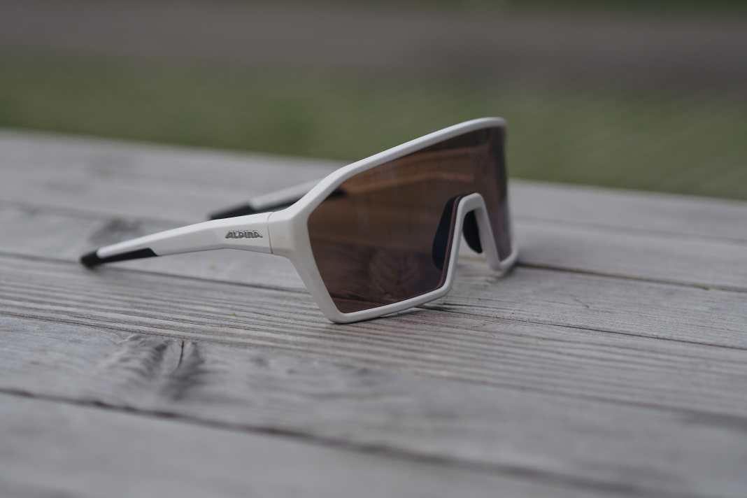 Brille Alpina RAM HVLM+ im Test