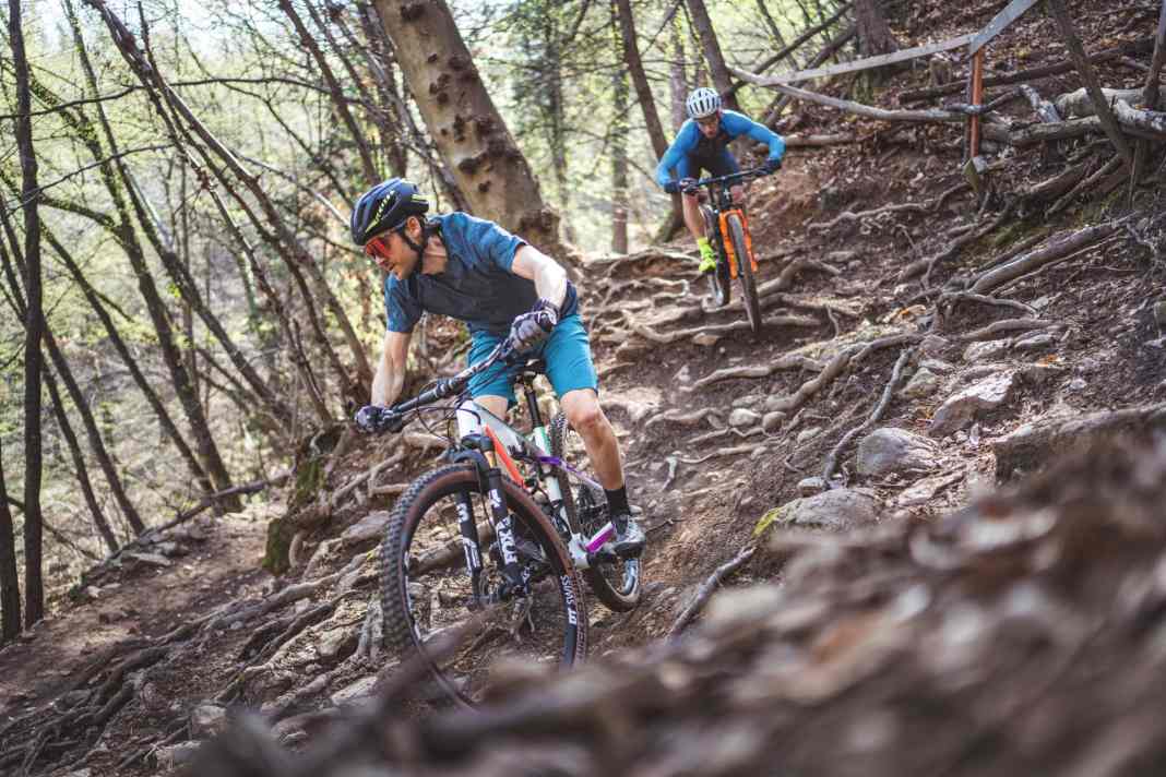 Wilier Urta SLR im Test