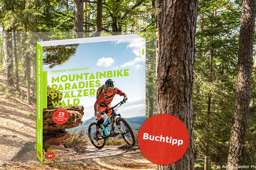 Mountainbike-Paradies Pfälzerwald