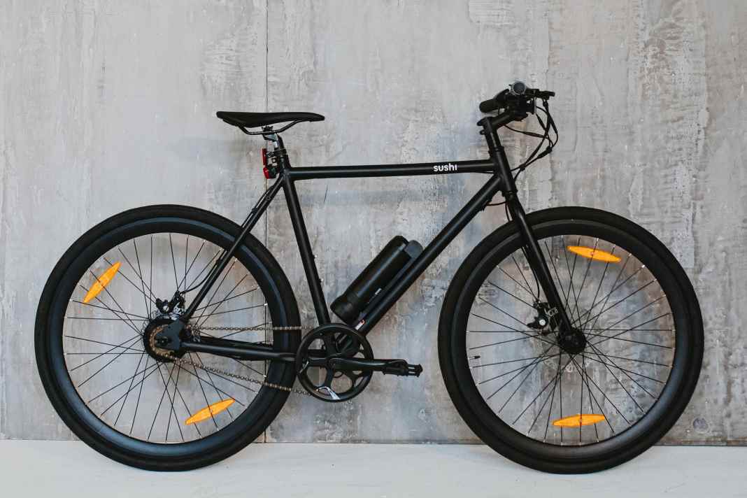 Was kann ein E-Bike für 1.000 Euro?