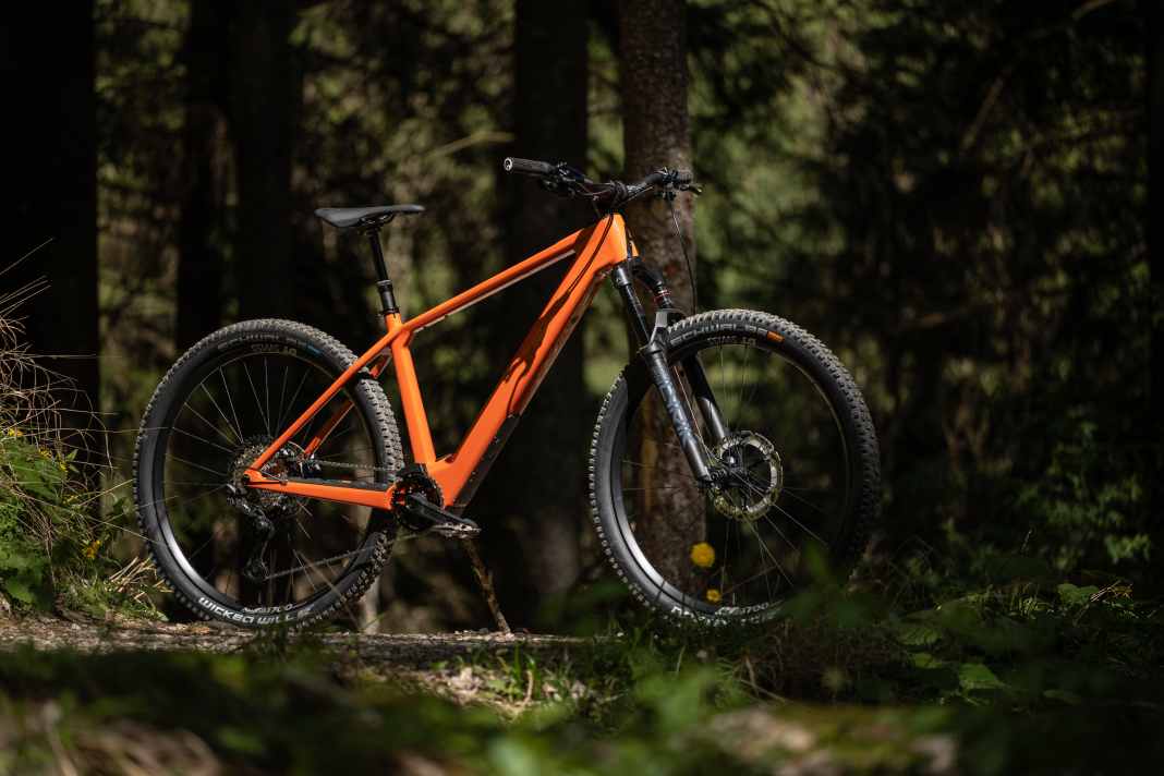 Der Motor macht dieses Bike günstiger