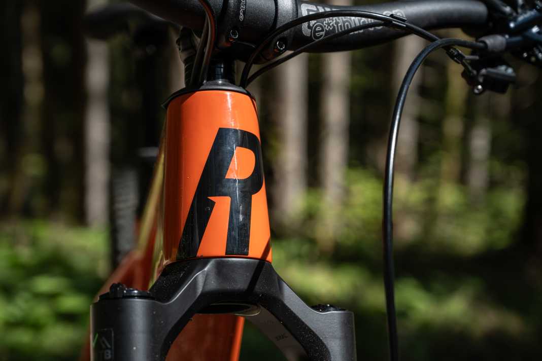 Carbon-Hardtail mit TQ Motor im Test