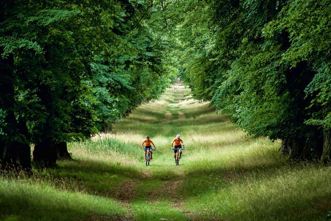 Mountainbike-Touren rund um Bad Salzdetfurth