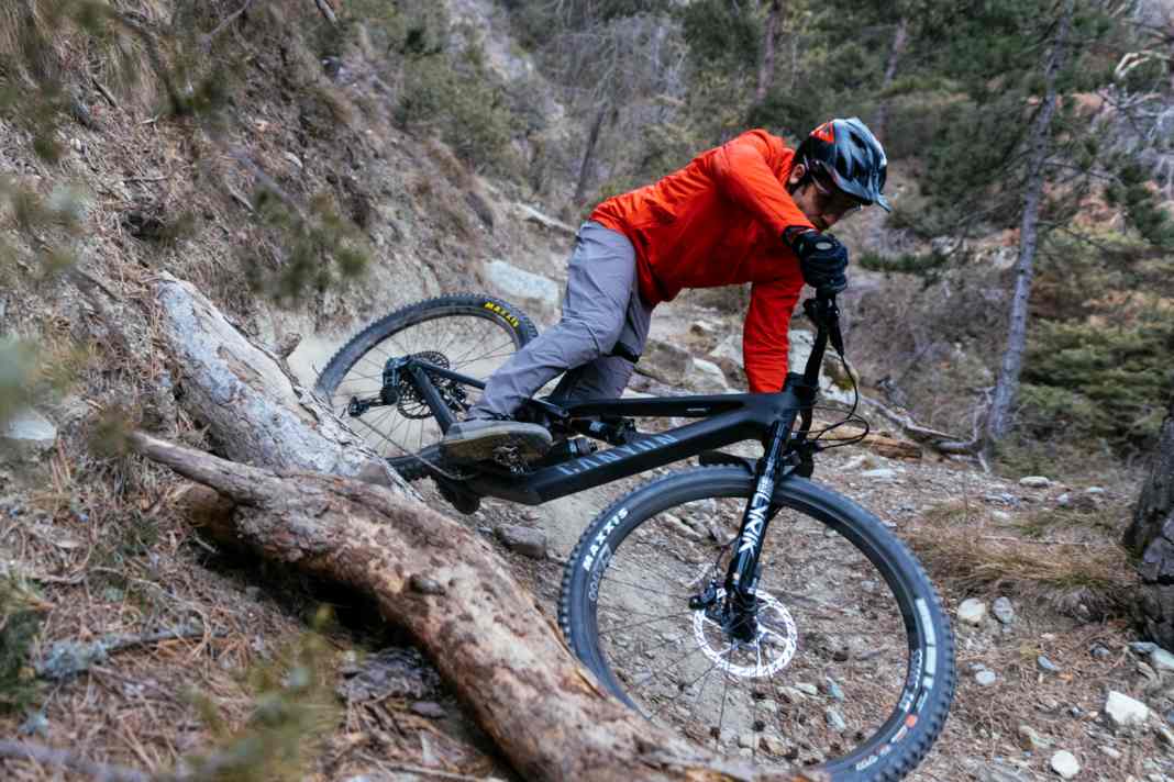 Canyon Spectral Carbon