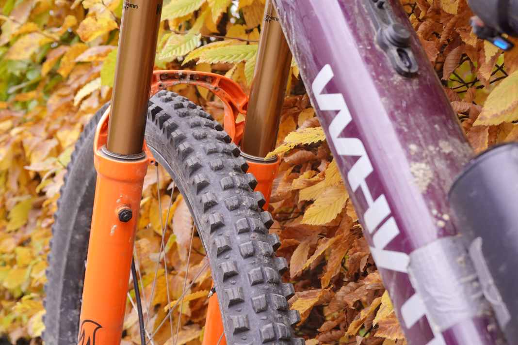 Wie schlagen sich Verdict und Judge im Test