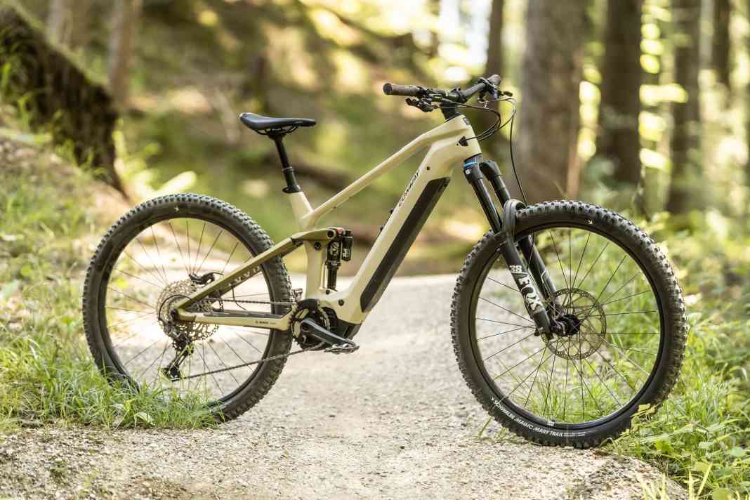 Die 5 spannendsten E-Bikes unter 6500 Euro im Test