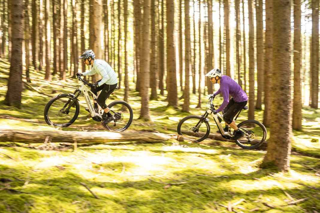 Megamo Flame AL 20 mit Bosch-Motor im Test