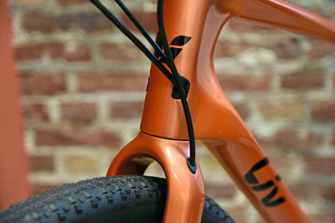 Das Liv Thrive Advanced GX im Test