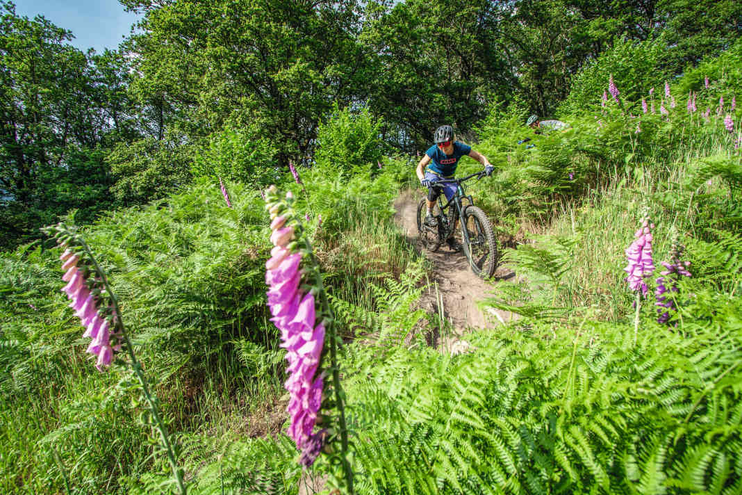Die 3 Top-Trailtouren im Revier-Guide Eberbach