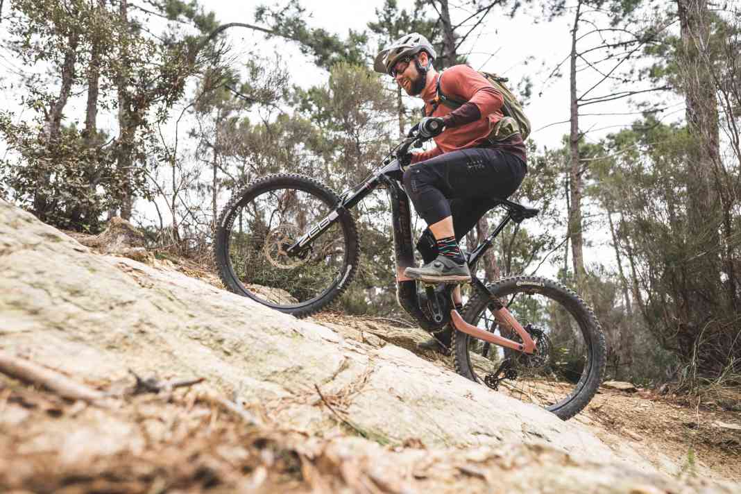 Der ideale Bosch-Allrounder?