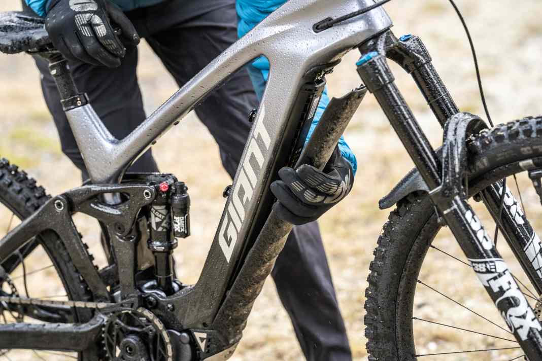 Graue Maus oder goldene Mitte?