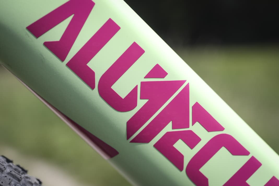 Das Punk 2.0 - Alutechs einziges Carbon-Bike