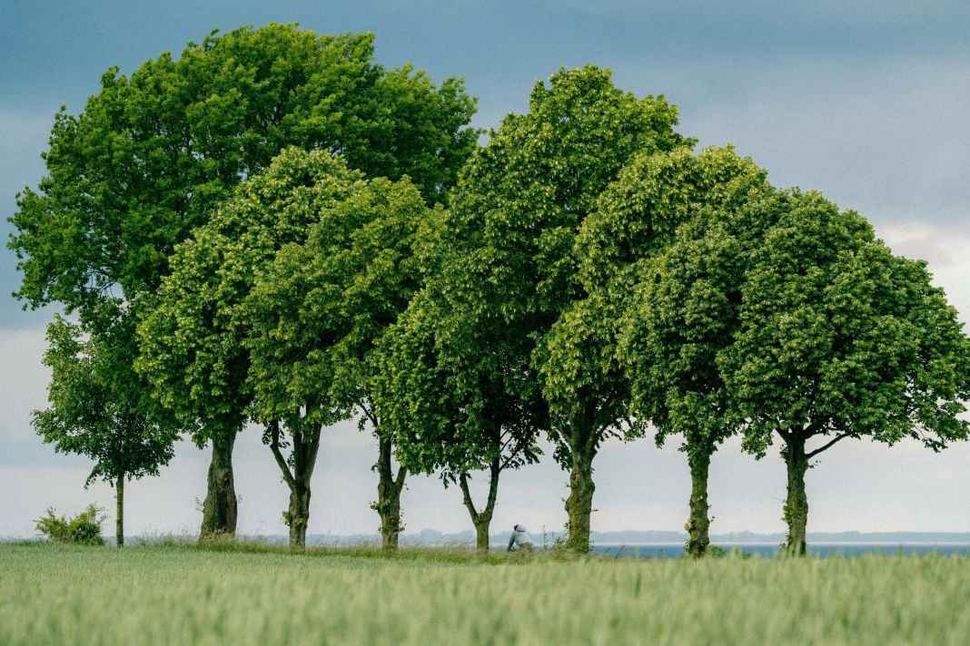 Die 2807 Höhenmeter von Hamburg