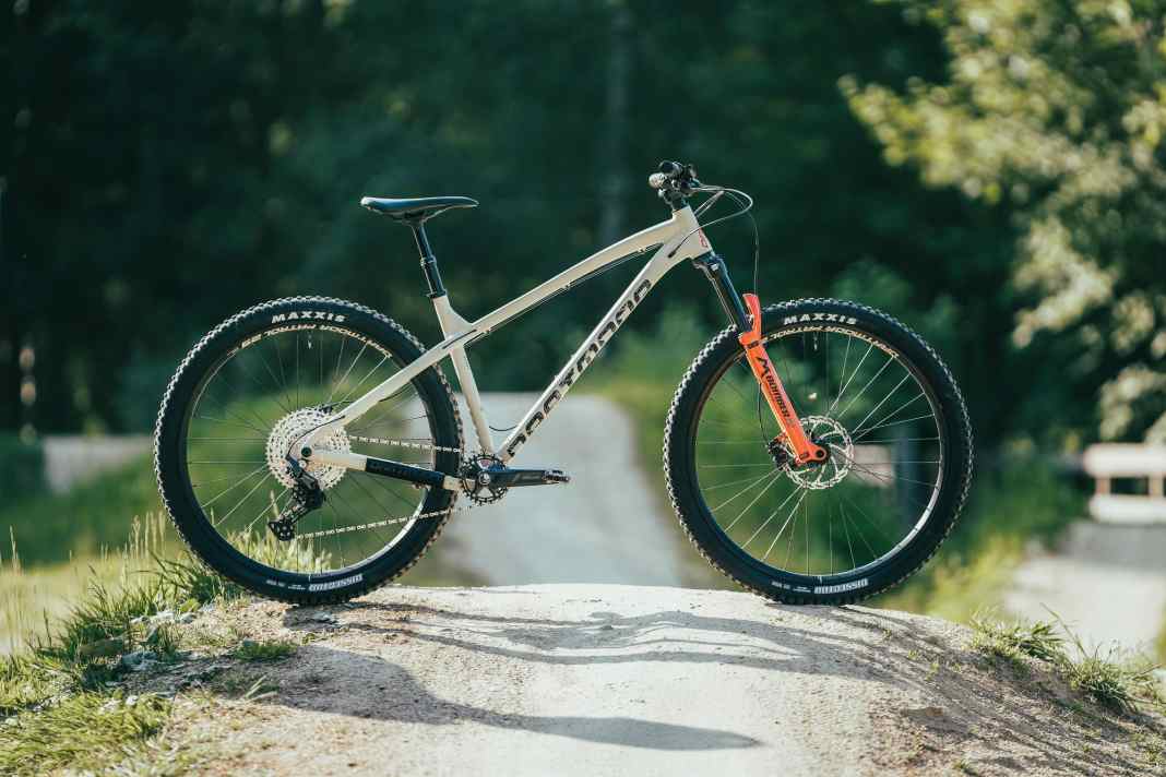 Dartmoor Primal Pro 29 im Test