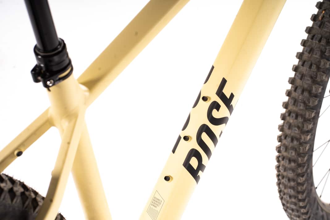 Rose Bonero 1 für 1499 Euro