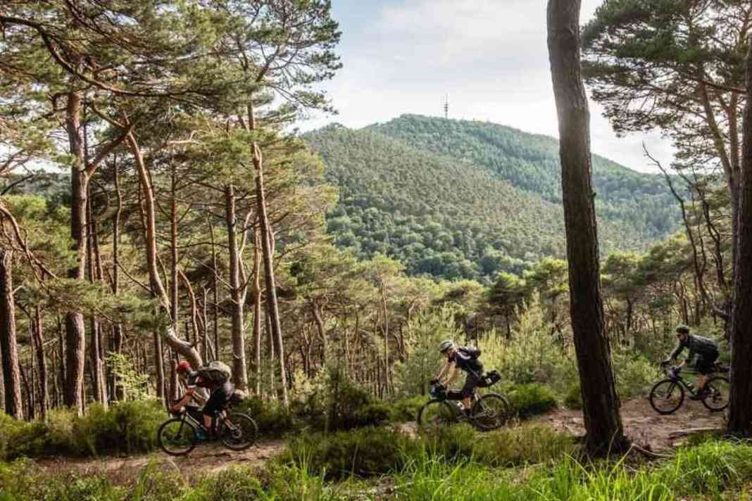 Mini-Abenteuer vor der Haustüre