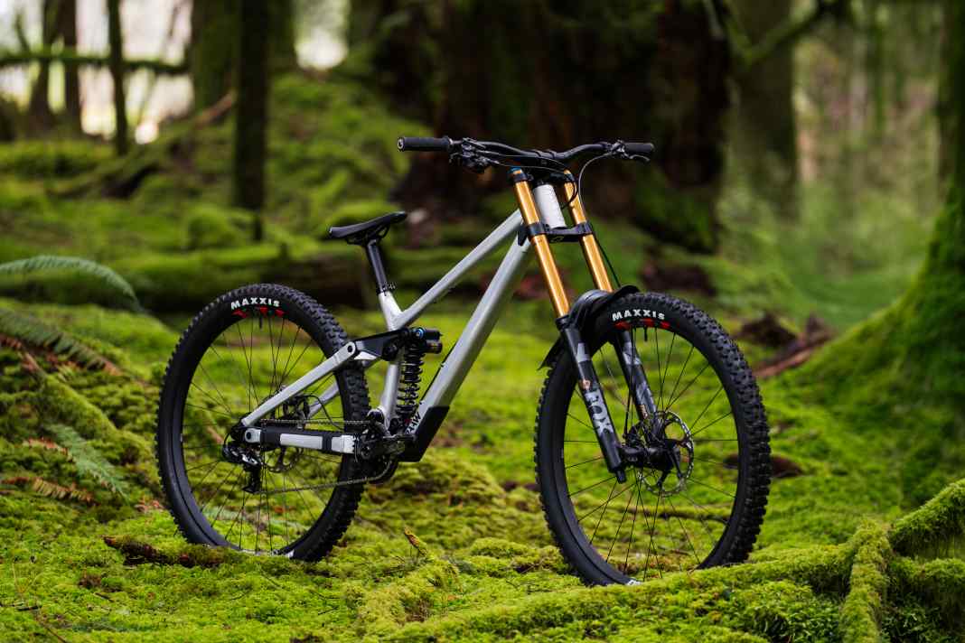 Downhill-Bike mit verstellbaren Ausfallenden