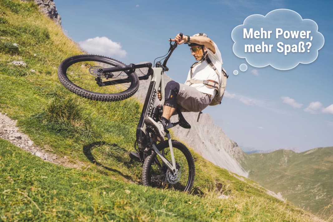 Avinox auf Siegeszug: Vorteile, Gefahren, Gründe