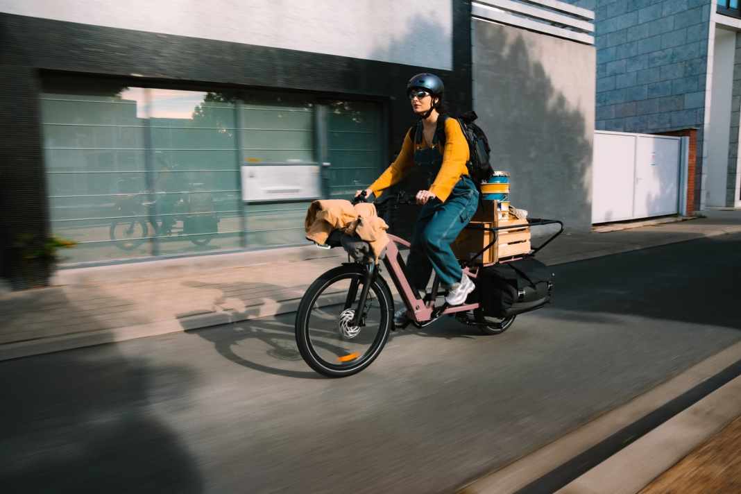 Flexibel transportieren mit dem BʼTwin E Three 500