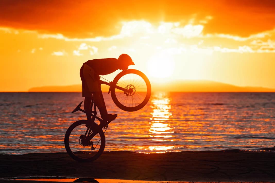 Was sind die besten Modelle für Trailbikes?