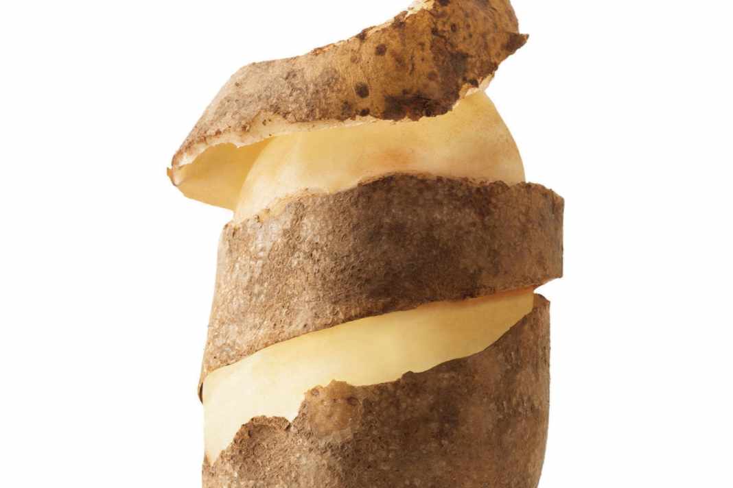 The potato