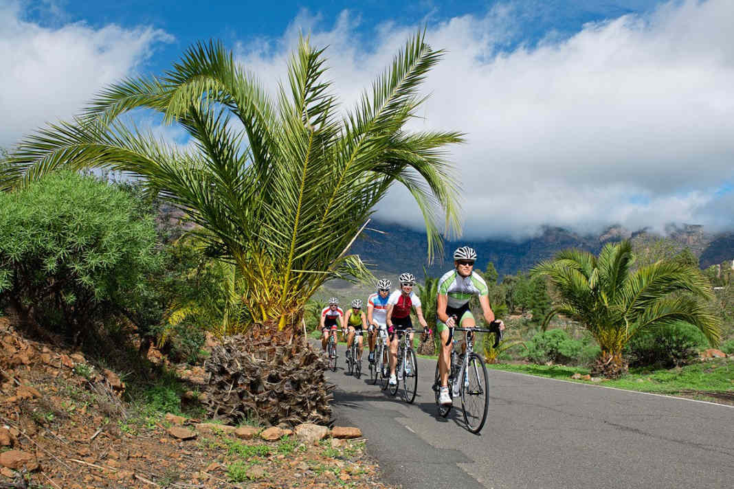 Mallorca & Co. - die besten Tipps fürs Trainingslager