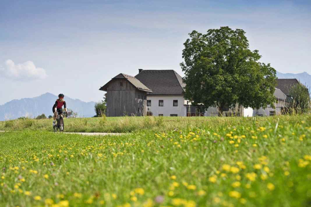 Von Wels an den Traunsee