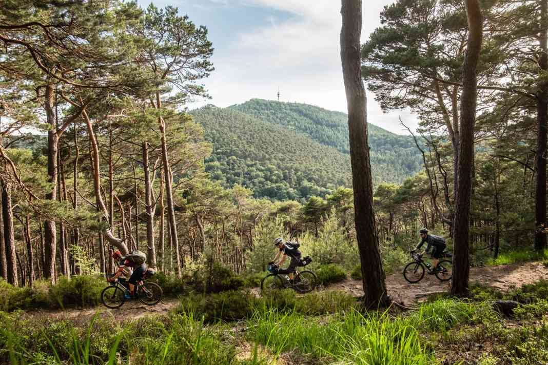 4 Tage mit dem Gravelbike im Pfälzerwald