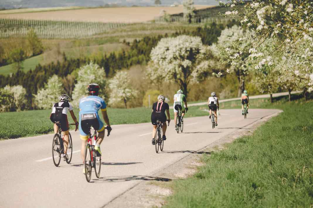 Servus in der Rennradregion Wels – Go where the locals go