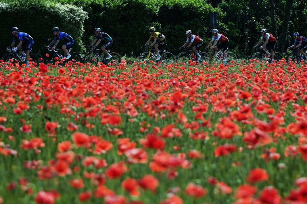 Italien-Rundfahrt - Ackermann im Sprint chancenlos