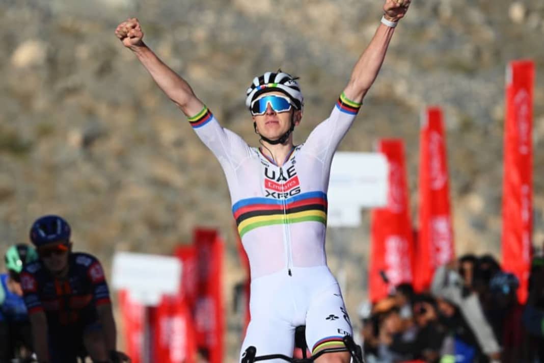 Wissenschaftler enthüllen Erfolgsgeheimnis