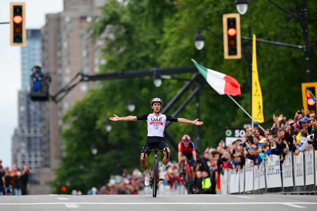 Everything you need to know about the Canadian classic