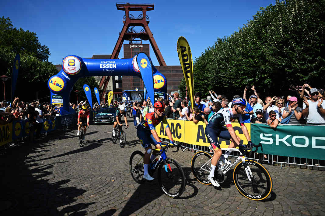 Auf dem aufsteigenden Ast?