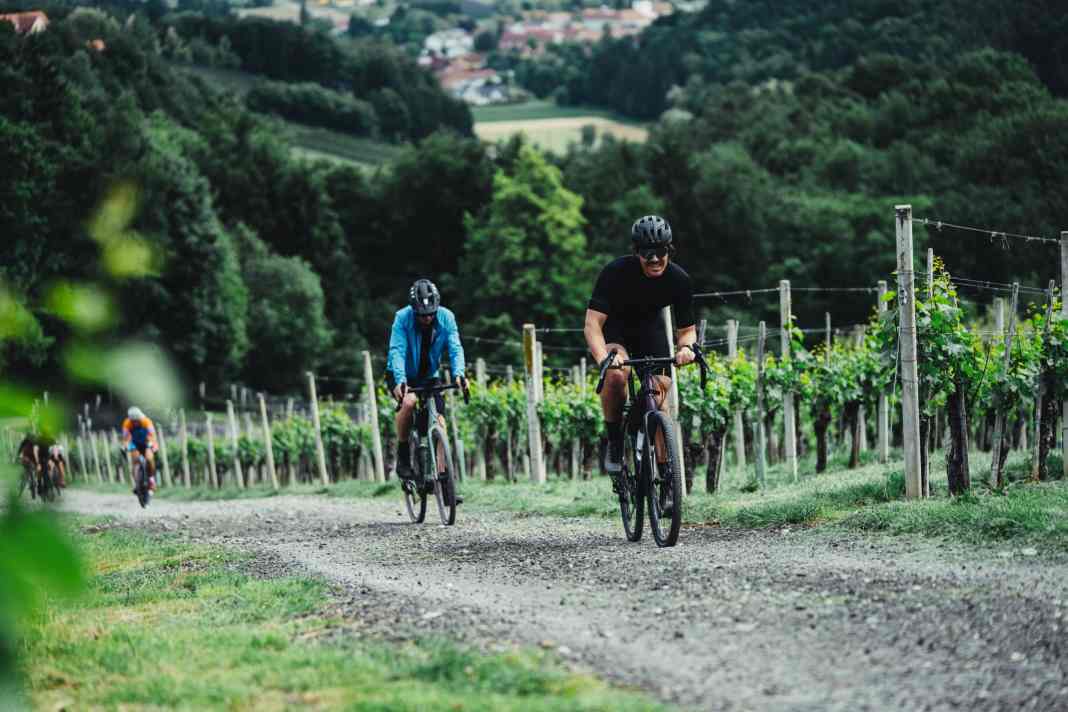 Gestörte und Wilde in der Südsteiermark