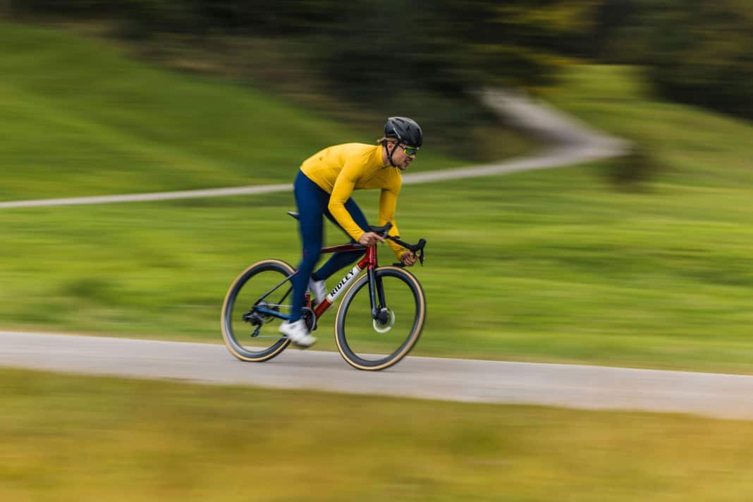 Belgischer Rennfalke im TOUR-Test