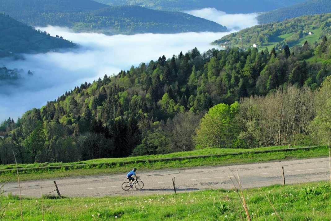 Vogesen zum Zuschauen und selbst erfahren