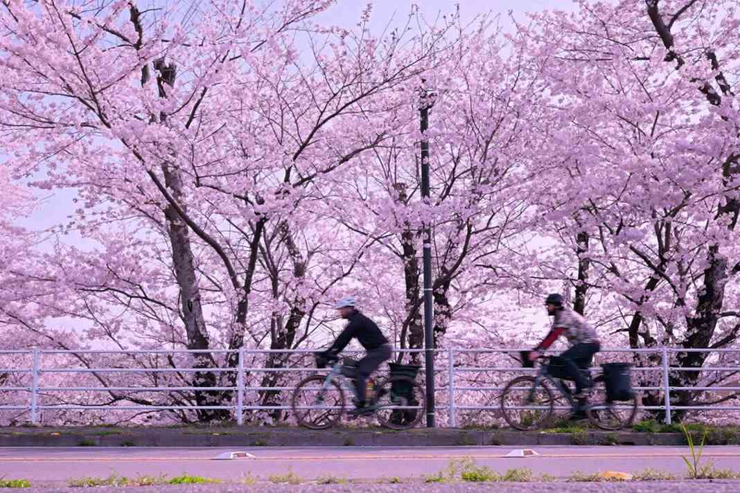 Saisonstart im Kino - Erlebnis für Radfahrer