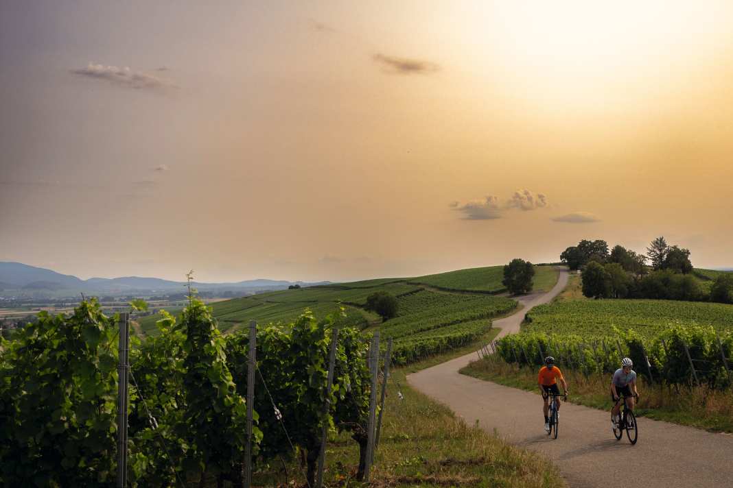 Rennradtouren in den Weinbergen südlich von Freiburg