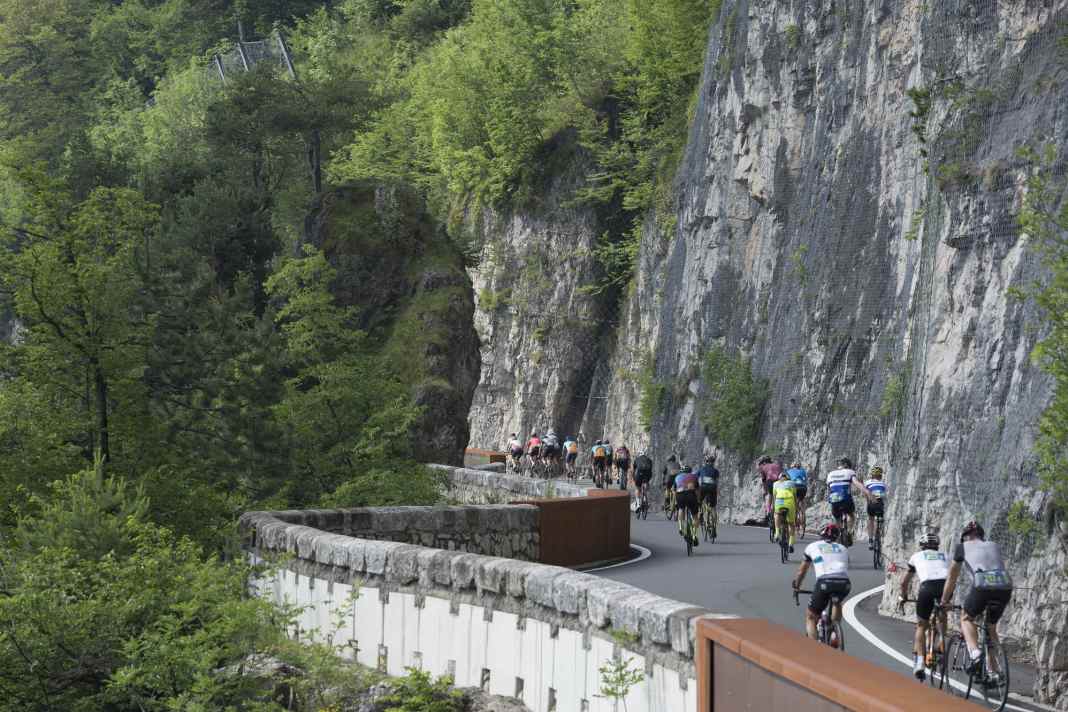 Vorbei an Weinreben und Apfelbäumen